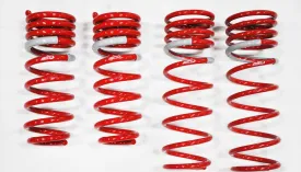 2012-2013 Toyota Yaris NF210 Springs by Tanabe (TNF169)