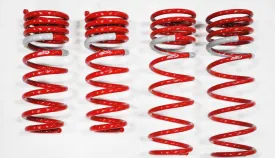 2012 Toyota Prius V NF210 Springs by Tanabe (TNF167)