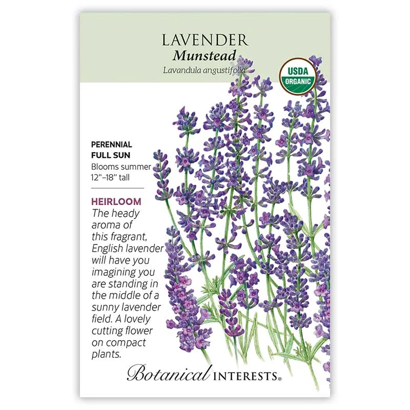 Munstead Lavender Seeds